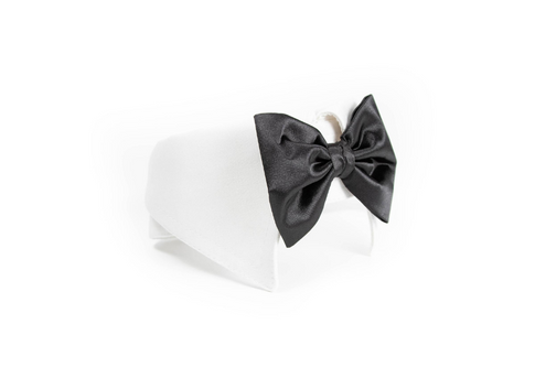 PetOne: PetShop Online - petone