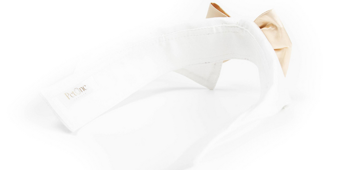PetOne: PetShop Online - petone