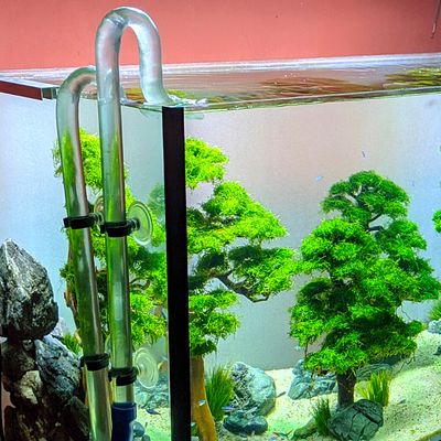 petshop acvarii pesti