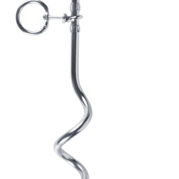 Tarus Galvanizat pentru Lesă Trixie, 40 cm, 9 mm, Crom