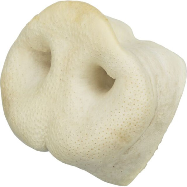 Rât de Porc Uscat Trixie, 100% natural, 1 bucată