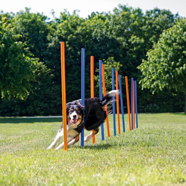 Slalom Agilitate Trixie pentru Câini - 12 Poli, Plastic, 3x115 cm