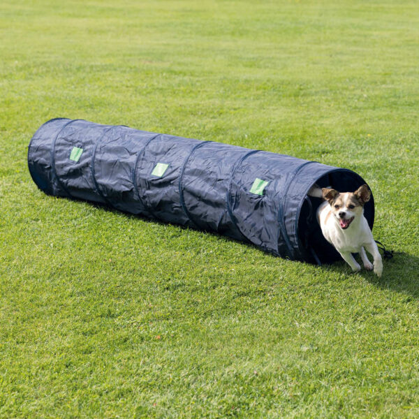 Tunel Mini Agility Trixie pentru Câini Mici, Albastru, 40 cm/2 m