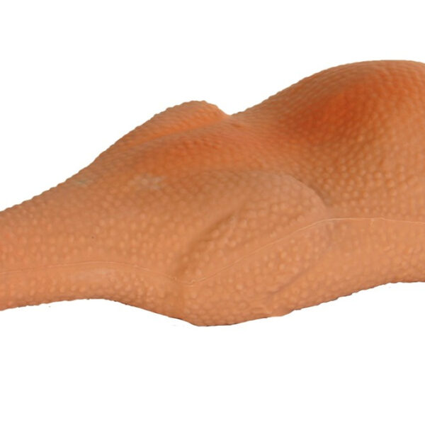 Jucărie din latex pentru câini cu sunet, 47 cm - Trixie