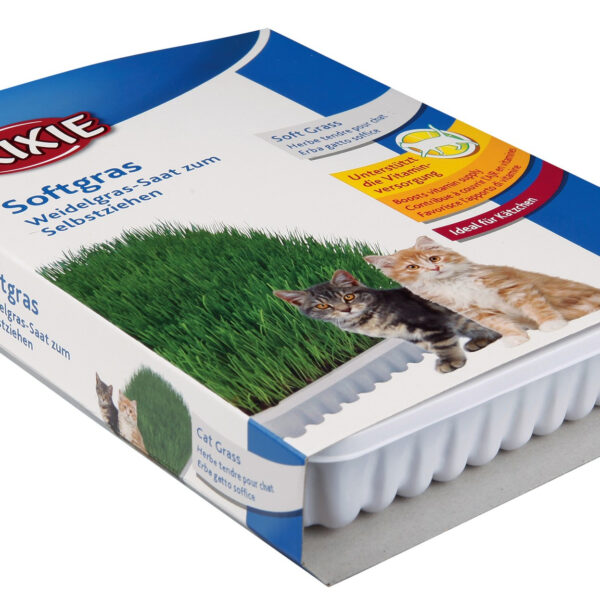 Iarba pentru Pisici Trixie în Castron Plastic, 100g - Ajutor Digestiv