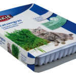 Iarba pentru Pisici Trixie din Semințe de Orz, 100g - Ajutor Digestiv