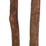 Bete din Lemn Natural pentru Colivie Trixie, 2 buc, 35 cm