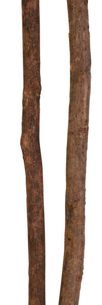 Bete din Lemn Natural pentru Colivie Trixie, 2 buc, 35 cm