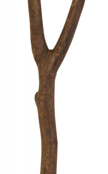 Băț din lemn natural pentru colivie Trixie, 20 cm, formă Y