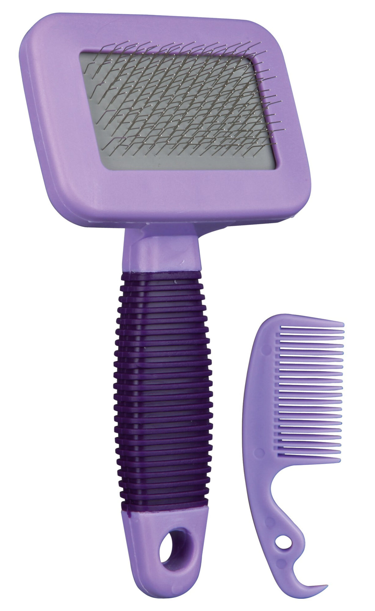 Set Perie si Piaptan 13.5x7 cm 6288