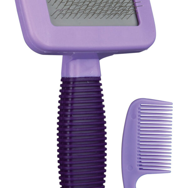 Set Perie si Piaptan 13.5x7 cm 6288
