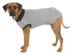 Body de Protecție pentru Câini Trixie, Gri, Mărimea L (55 cm)
