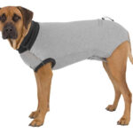 Body de Protecție pentru Câini Trixie, Gri, Mărimea L (55 cm)