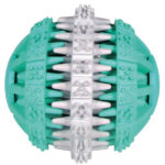 Minge Denta Fun Trixie pentru Câini, Cauciuc cu Aromă de Mentă, 6 cm