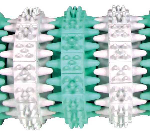 Jucărie pentru câini Trixie Denta Fun, os cu aromă de mentă, 15 cm