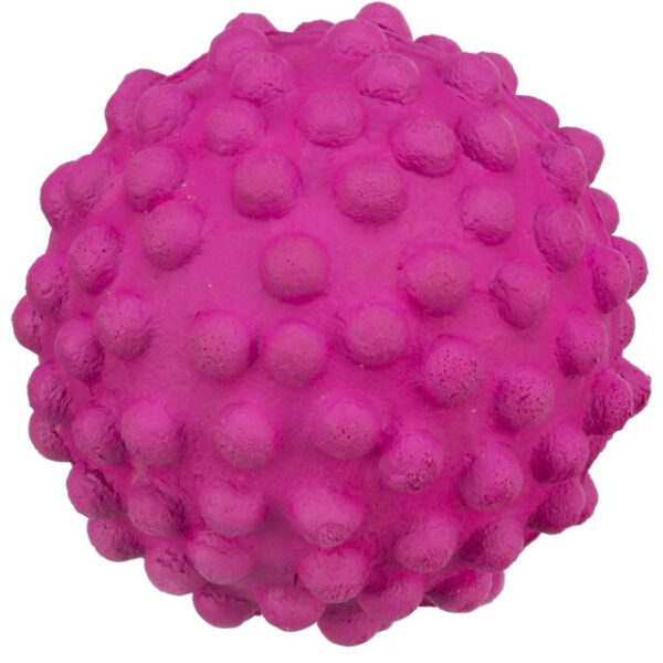 Minge Arici Plutitoare pentru Câini, 7 cm, Diverse Culori - Trixie