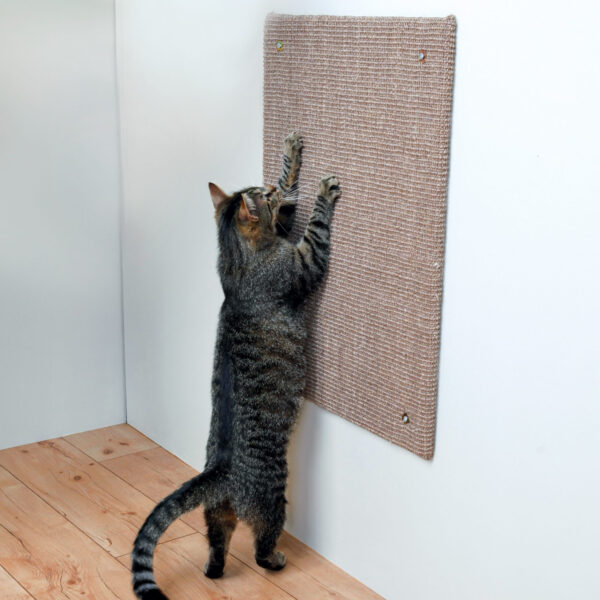 Placă de zgariat XXL Trixie pentru pisici mari, 50x70 cm, taupe