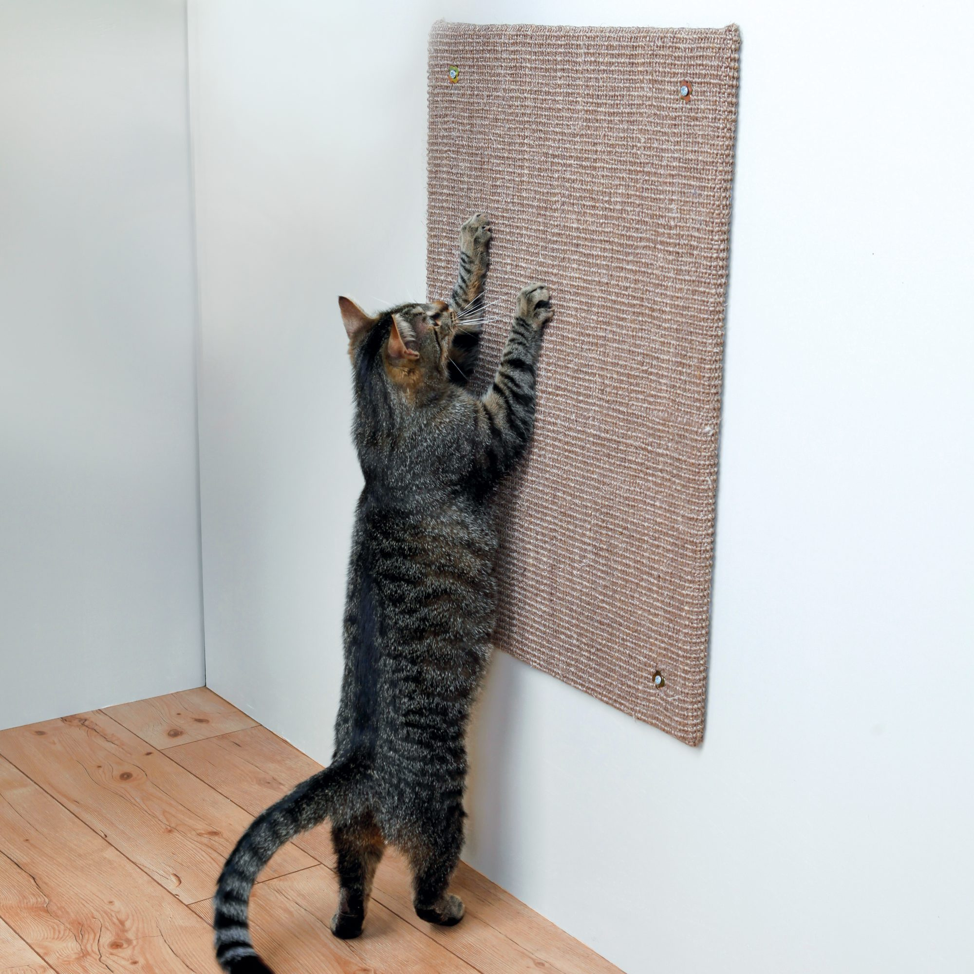 Placă de zgariat XXL Trixie pentru pisici mari, 50x70 cm, taupe Placă de zgariat XXL Trixie pentru pisici mari, 50x70 cm, taupe