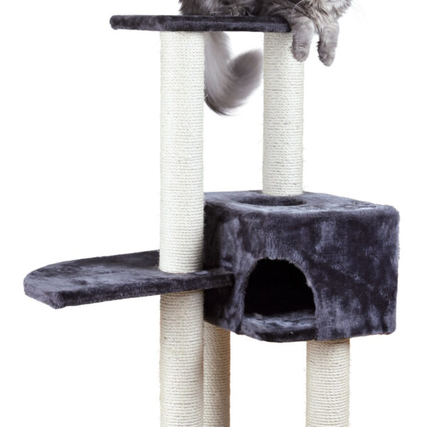 Ansamblu de Joacă Trixie Alicante pentru Pisici, 142 cm, Antracit