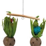 Balansoar pentru păsări Trixie cu nucă de cocos și gustări, 30x50 cm