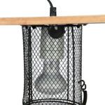 Protecție Becurile Terariu Trixie 15x22 cm - Previne Arsuri Animale
