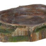Bol Trixie pentru Reptile cu Decor Padure Tropicala - 10x2.5x7.5 cm