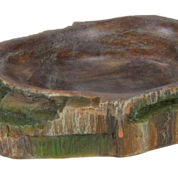 Bol Trixie pentru Reptile cu Decor Padure Tropicala - 10x2.5x7.5 cm