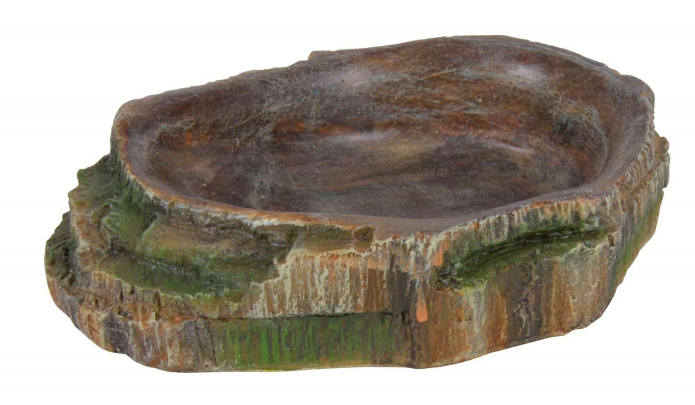 Bol Trixie pentru Reptile cu Decor Padure Tropicala - 10x2.5x7.5 cm Bol Trixie pentru Reptile cu Decor Padure Tropicala - 10x2.5x7.5 cm