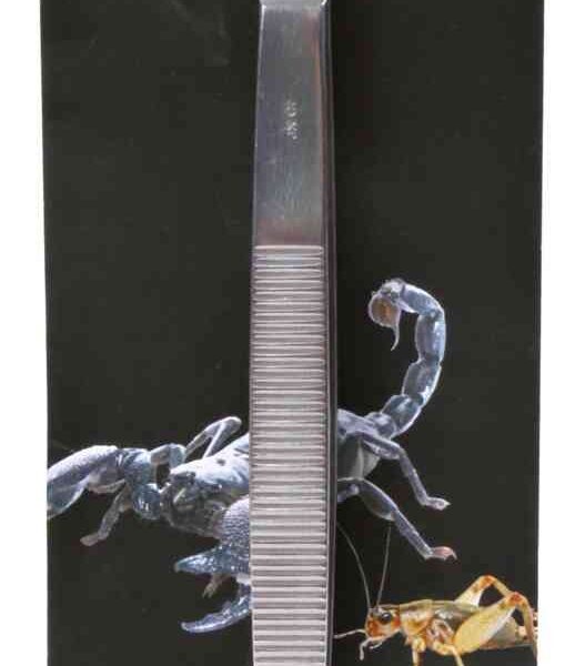 Penseta de Alimentare pentru Reptile, Inclinat, 30 cm, 76223