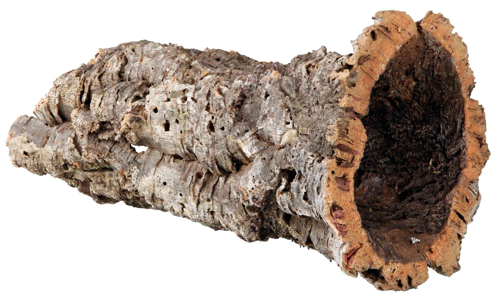 Tunel din Plută Trixie pentru Reptile și Rozătoare, L: 15-55 cm Tunel din Plută Trixie pentru Reptile și Rozătoare, L: 15-55 cm