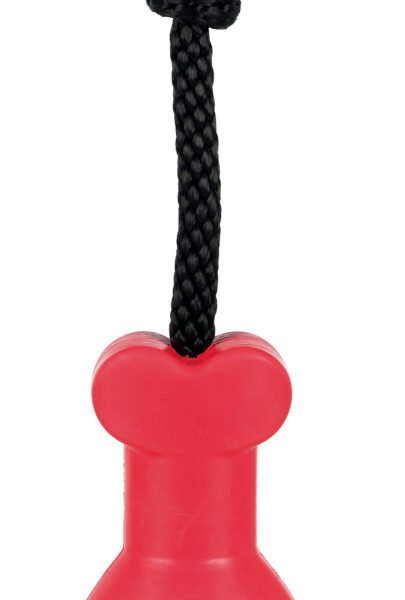Suport Boneguard pentru Os cu Franghie din Cauciuc - Trixie, 13 cm