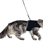 Ham și Lesă Soft Trixie pentru Pisici, Negru, 36-54 cm, 1.2 m