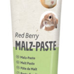 Pasta Trixie din Malt cu Fructe Roșii pentru Rozătoare 100 g