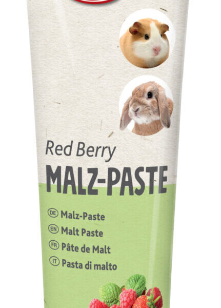 Pasta Trixie din Malt cu Fructe Roșii pentru Rozătoare 100 g
