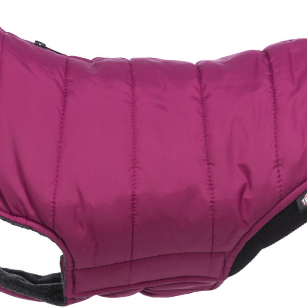 Haină impermeabilă pentru câini Trixie Arlay XXS, 21 cm, Visiniu