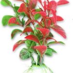 Planta Artificială Verde/Roșu pentru Acvariu, 10 cm - Happet
