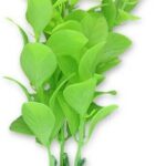 Planta Artificială Happet pentru Acvariu, 10 cm, Verde și Roz