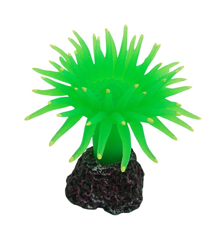 Coral Decorativ pentru Acvariu Happet, 8 cm - Sigur și Atrăgător Coral Decorativ pentru Acvariu Happet, 8 cm - Sigur și Atrăgător