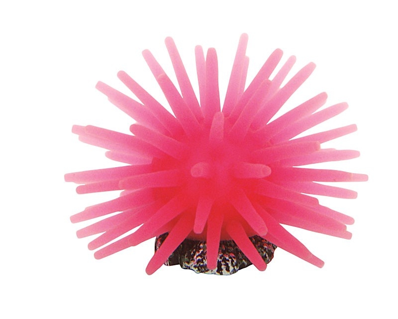Coral Decorativ pentru Acvariu Happet, 5x5x4 cm, Sigur pentru Pești Coral Decorativ pentru Acvariu Happet, 5x5x4 cm, Sigur pentru Pești