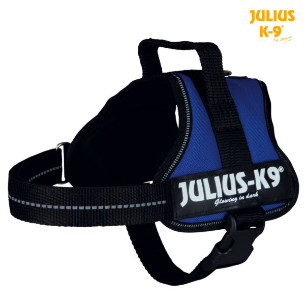 Ham Julius K9 Mini/S Albastru, 51-67 cm – Rezistent și Impermeabil