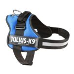 Ham Julius K9 Power 66-85 cm, Albastru, pentru câini activi