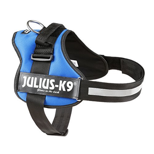 Ham Julius K9 Power 66-85 cm, Albastru, pentru câini activi