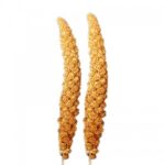 Mei Chinezesc Blister Exotic-K - Set 2 BUC pentru Pisici