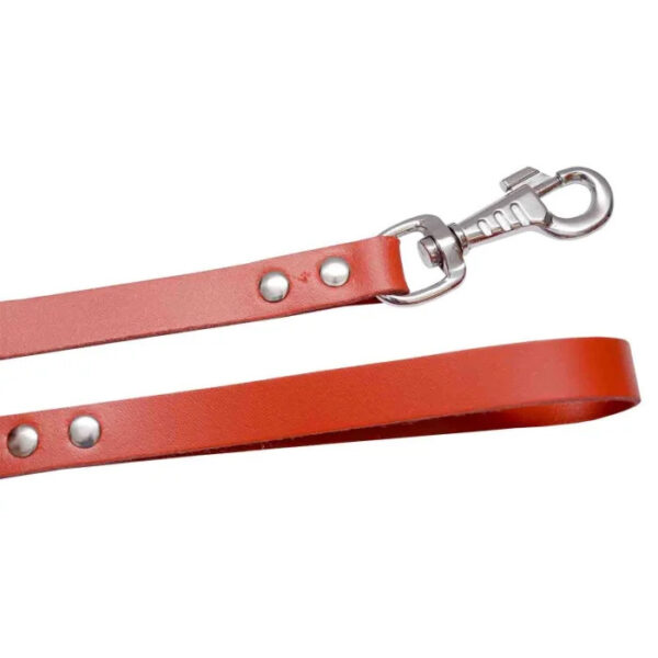 Lesa din Piele pentru Câini Exotic-K, 1.8 cm lățime, 1 m lungime, Roșie