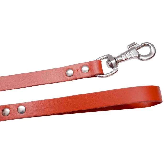 Lesa din Piele Exotic-K pentru Câini, 1.5 cm x 1 m, Roșie Lesa din Piele Exotic-K pentru Câini, 1.5 cm x 1 m, Roșie