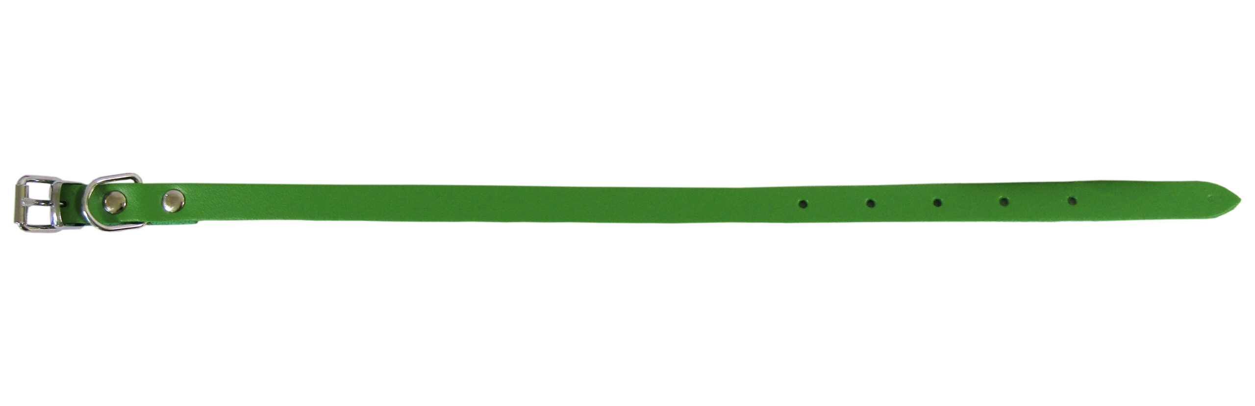 Zgarda Verde Simplă Exotic-K 1.2/37 cm pentru câini Zgarda Verde Simplă Exotic-K 1.2/37 cm pentru câini