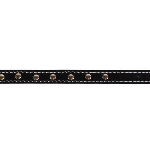Zgarda Exotic-K L1 1.6/40 cm cu Ornament Negru pentru Câini
