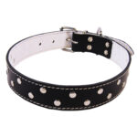 Zgarda Exotic-K L4 3.0, 62 cm, Ornament Negru pentru Pisici