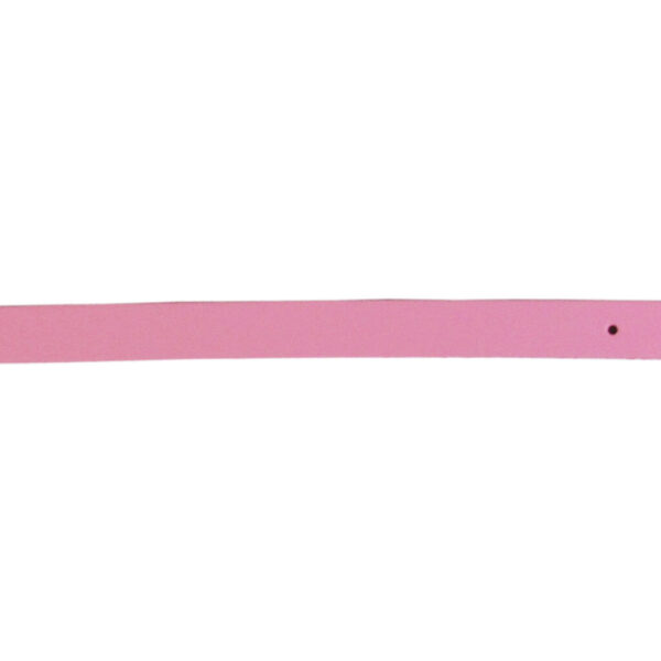 Zgarda Exotic-K Roz 1.6/40 cm - Design Simplu pentru Pisici