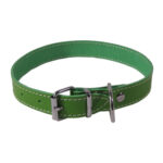 Zgarda Exotic-K L3 Verde Simplu 2.5/53 cm pentru câini